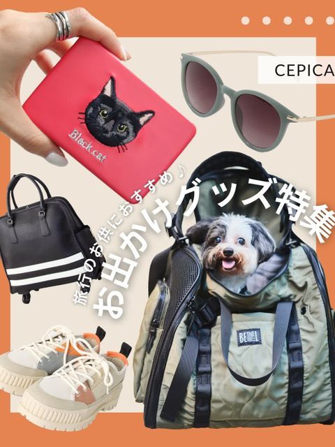 旅行のお供に】お出かけグッズ特集 - LUCUA osaka（ルクア大阪）